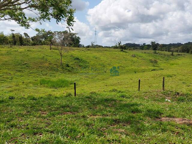 #304 - Fazenda para Venda em Ilhéus - BA