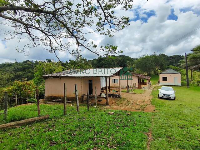 #305 - Fazenda para Venda em Ilhéus - BA