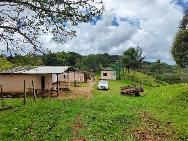 #305 - Fazenda para Venda em Ilhéus - BA