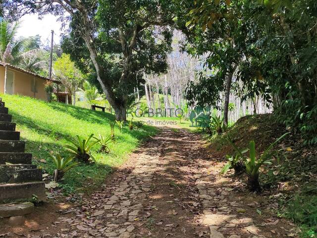 Venda em Nossa Senhora da Vitória - Ilhéus